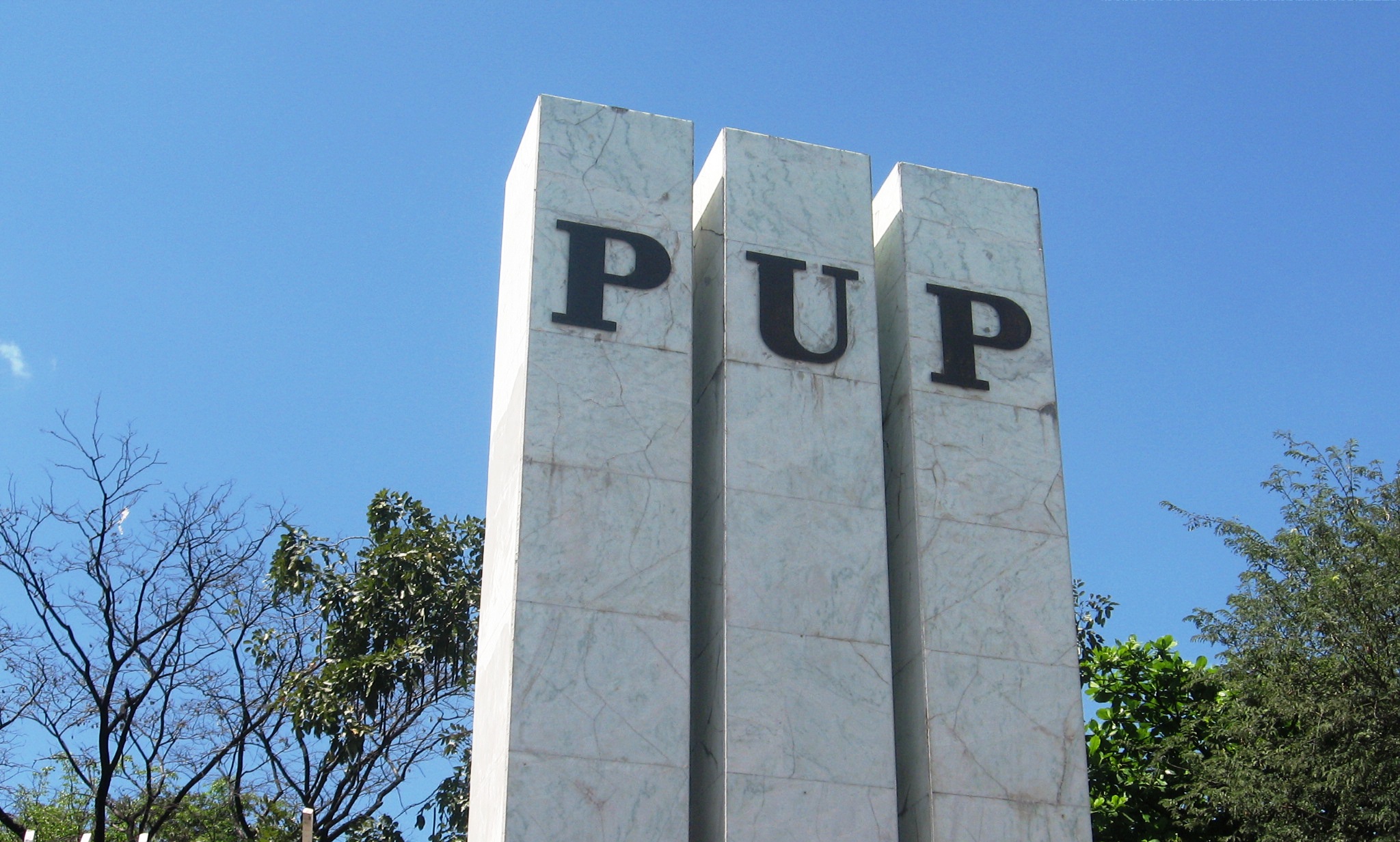 The PUP Pylon